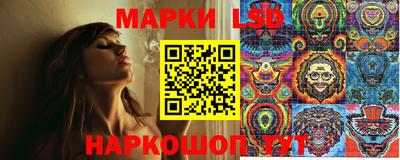гидропоника Рязань