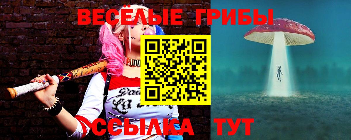 дарнет шоп  Вход с VPN  Северск  Псилоцибиновые грибы Cubensis 